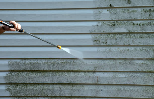 Best Residential Pressure Washing Services  in Manche Village, CA