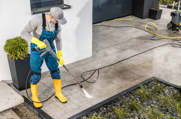 Best Best Pressure Washing Companies  in Manche Village, CA