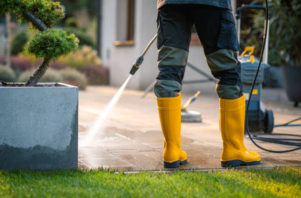 Best Local Pressure Washing Services  in Manche Village, CA